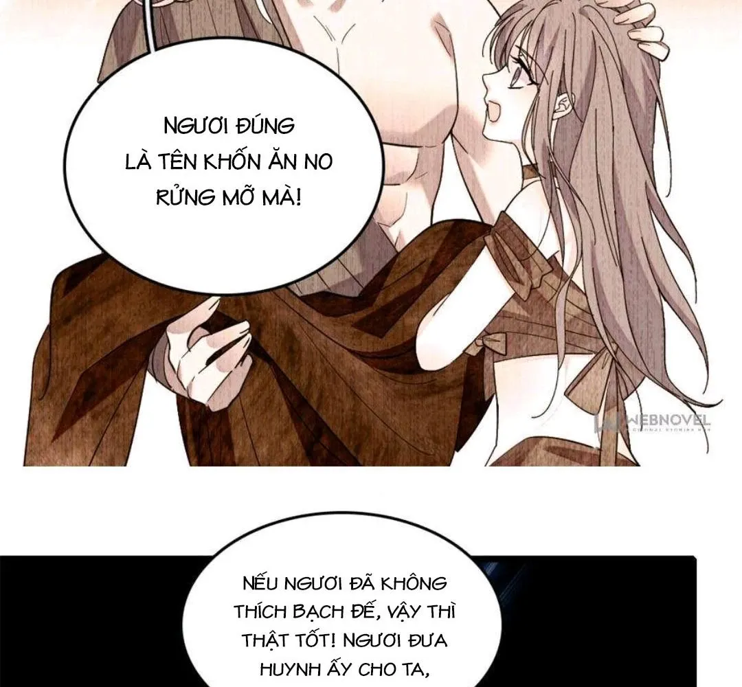 Chương 257 - trang 41