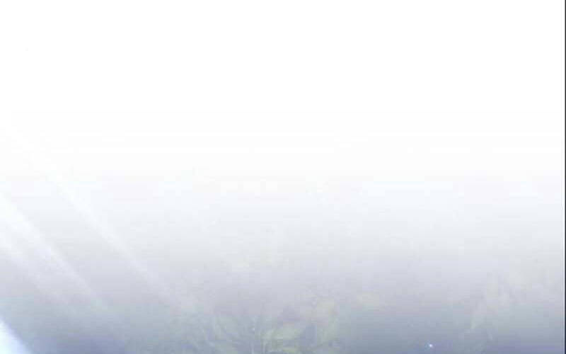 Trang 123
