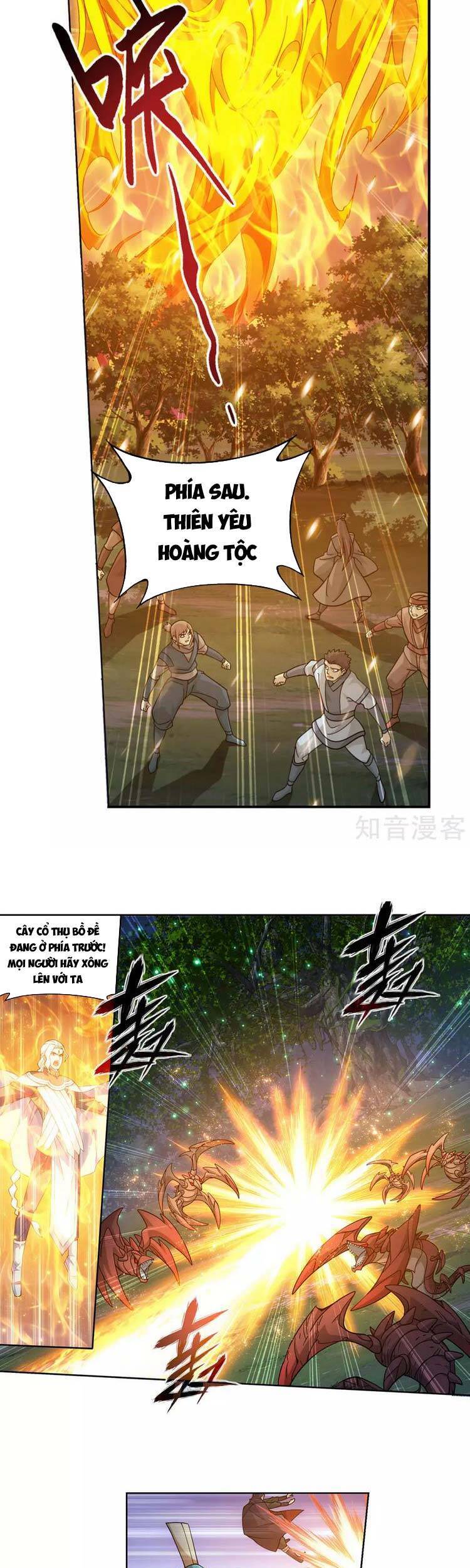 Trang 5
