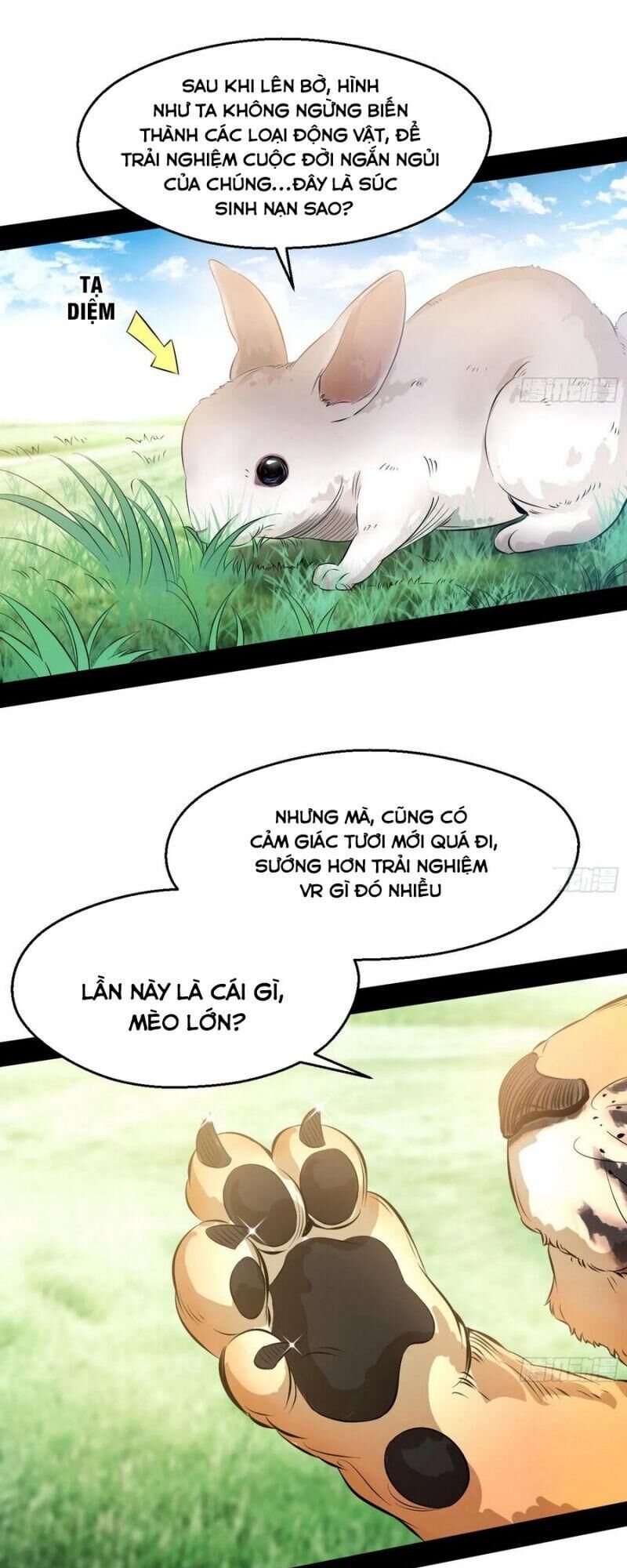 Trang 11