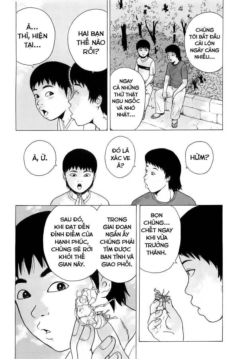 Trang 11