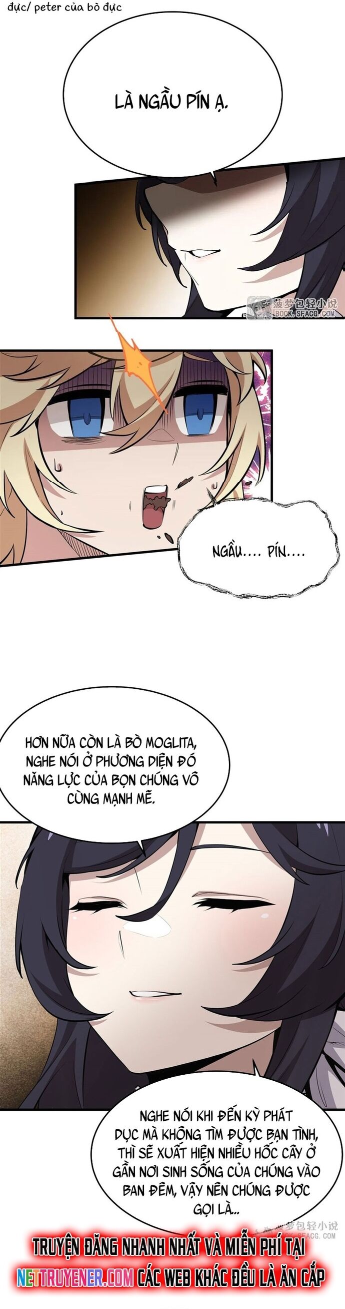 Trang 13