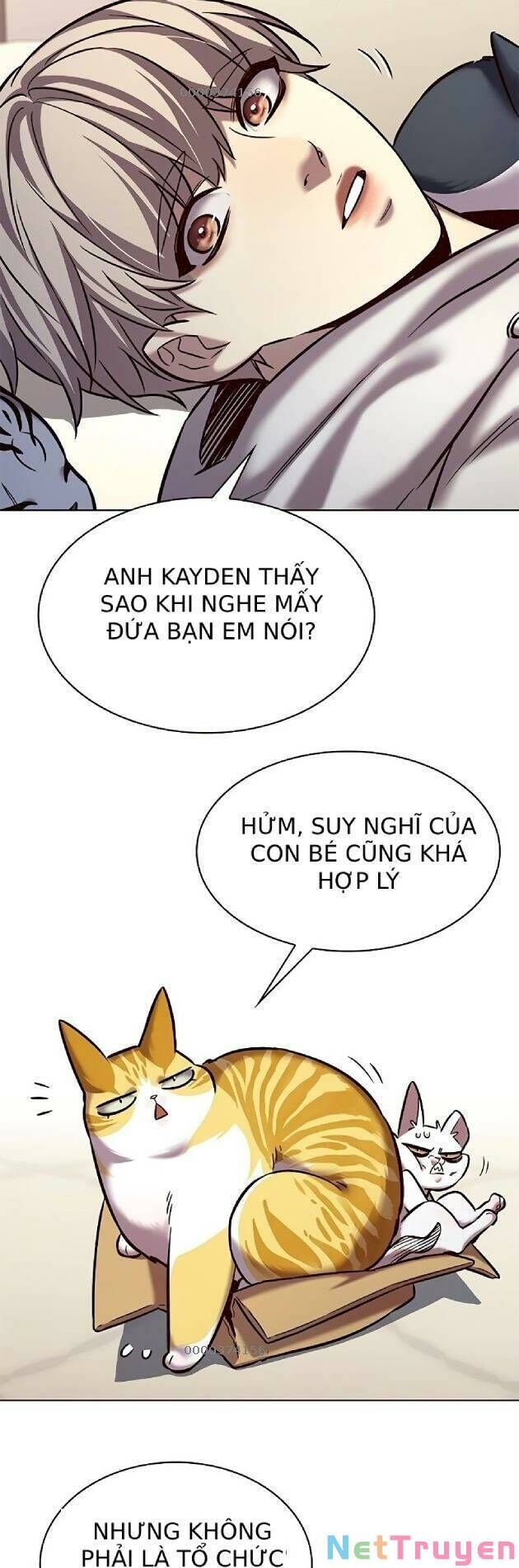 Trang 31