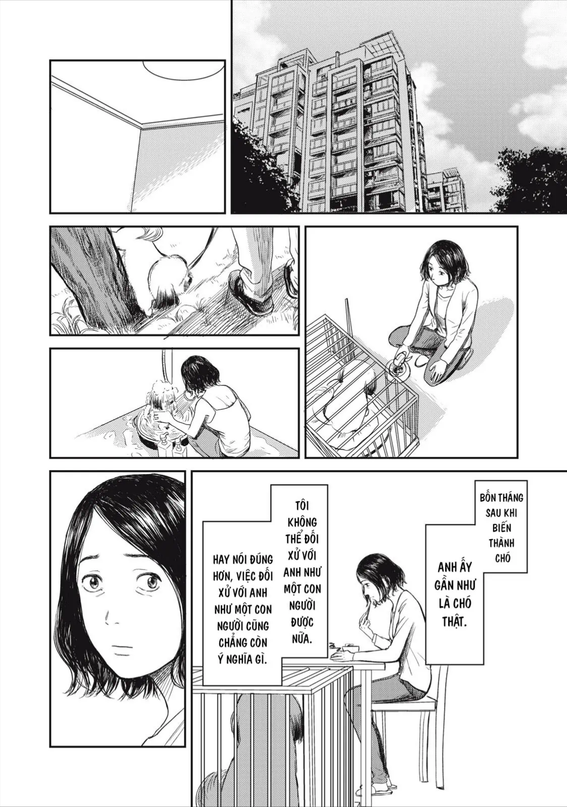 Trang 24