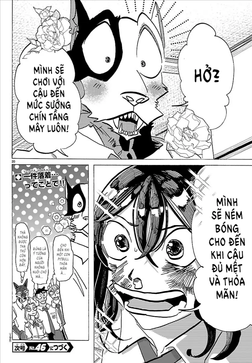 Trang 20