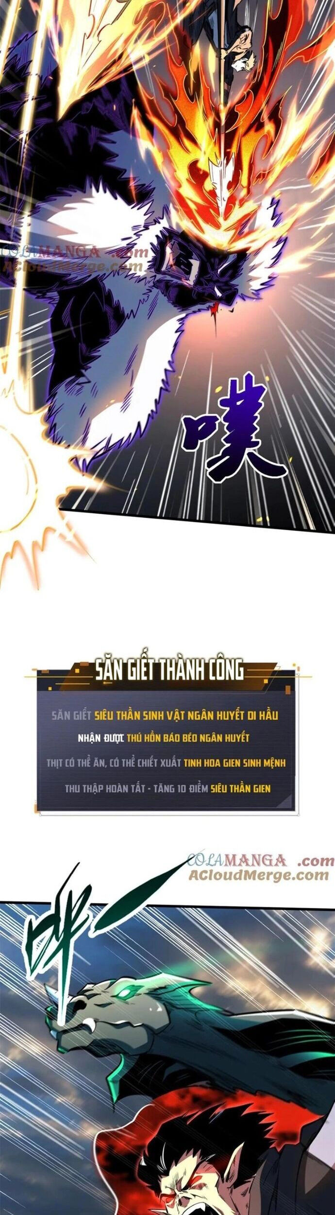Chương 344 - trang 22