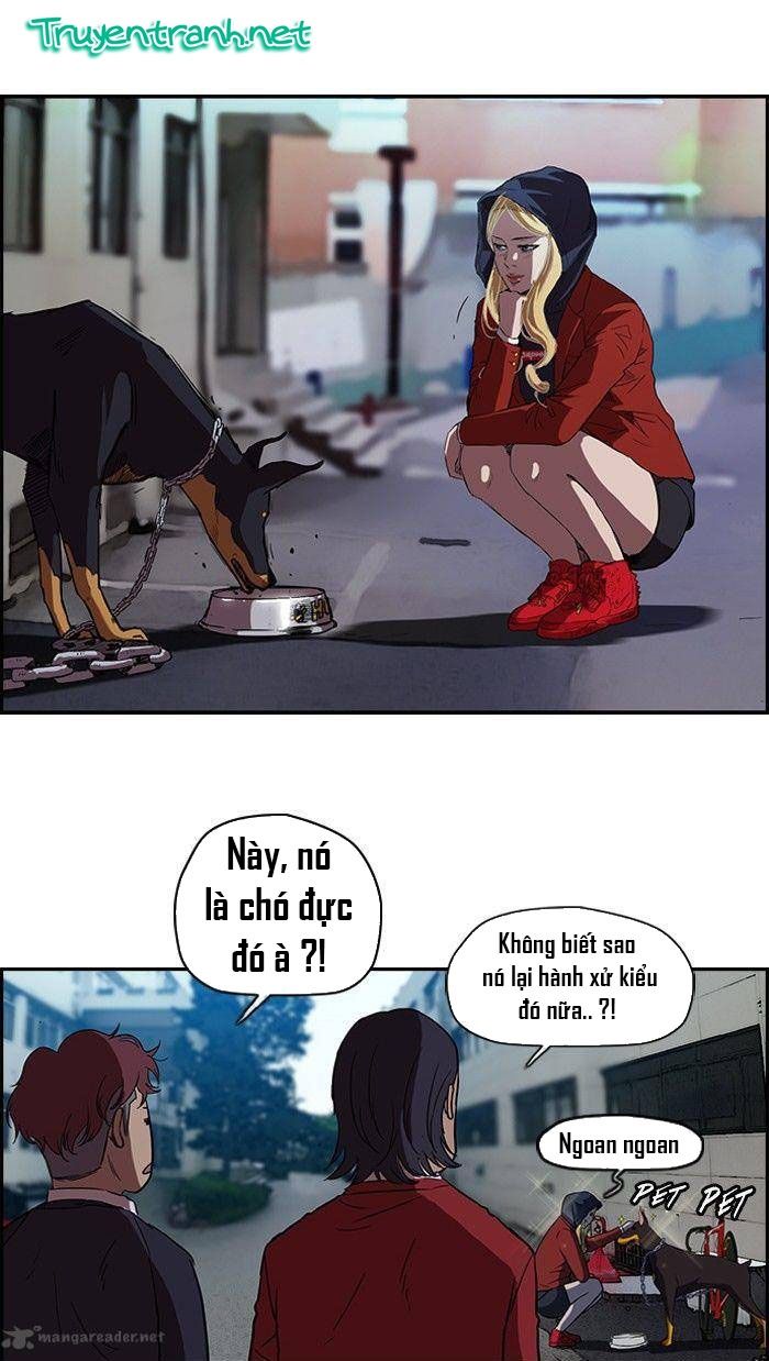 Chương 61 - trang 21