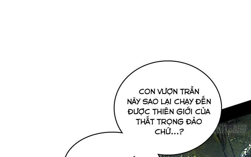 Chương 504 - trang 25
