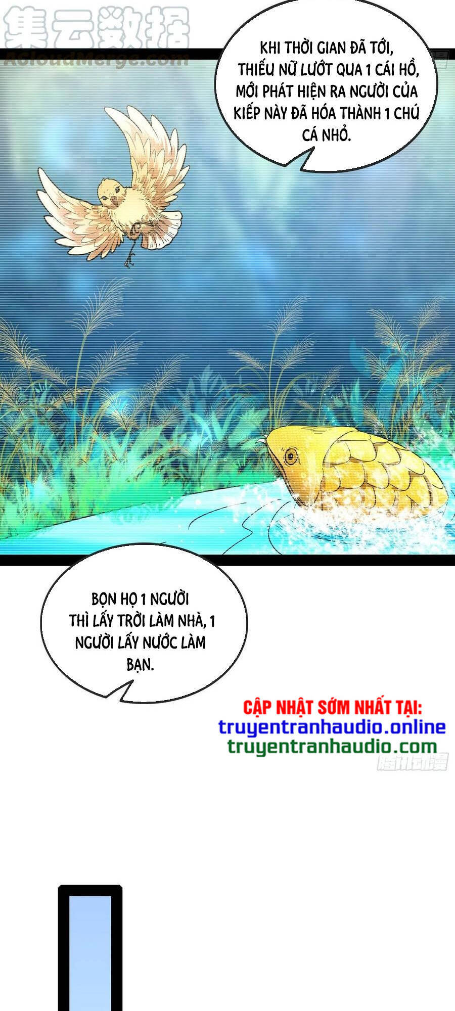 Trang 16