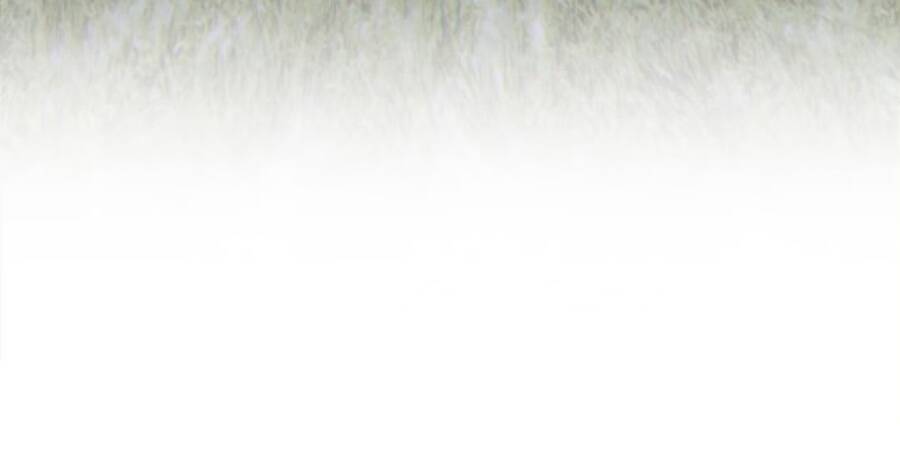 Chương 11 - trang 18