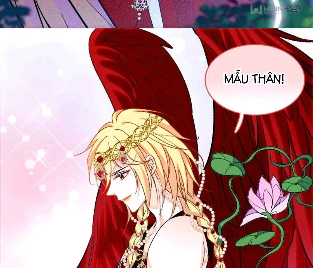 Chương 247 - trang 16