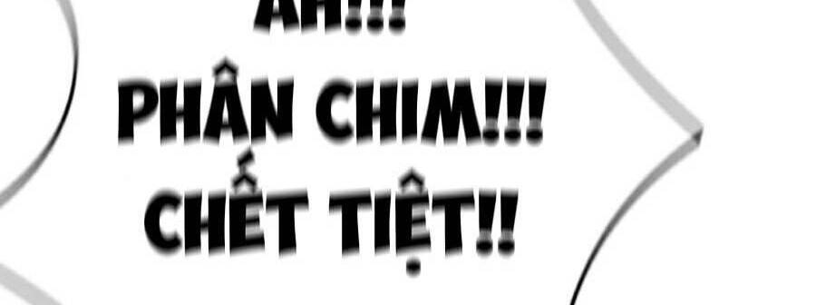 Chương 381.1 - trang 24