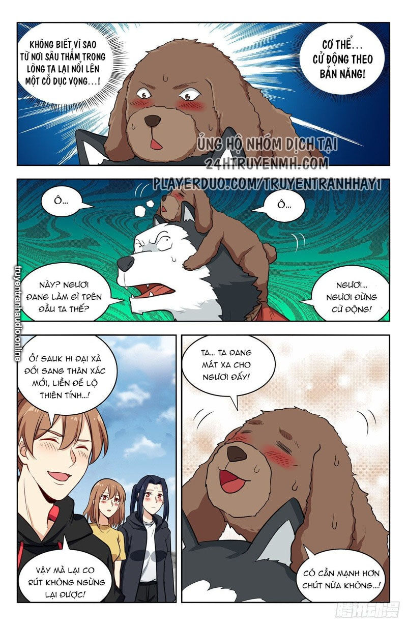 Trang 8
