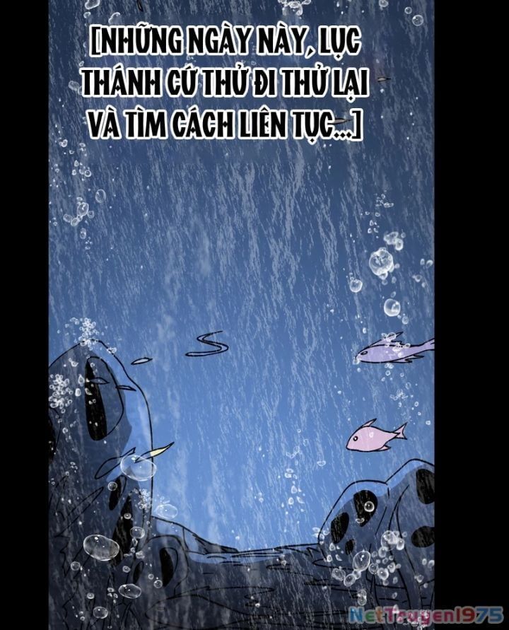 Trang 97
