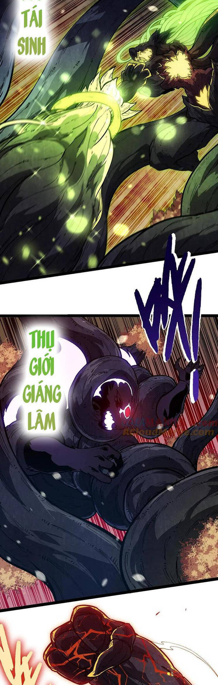 Trang 24