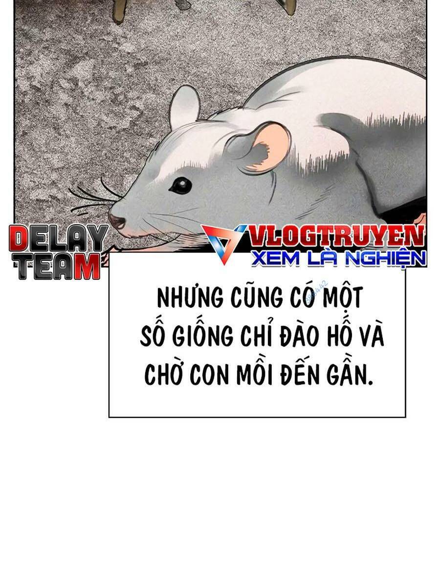 Trang 62