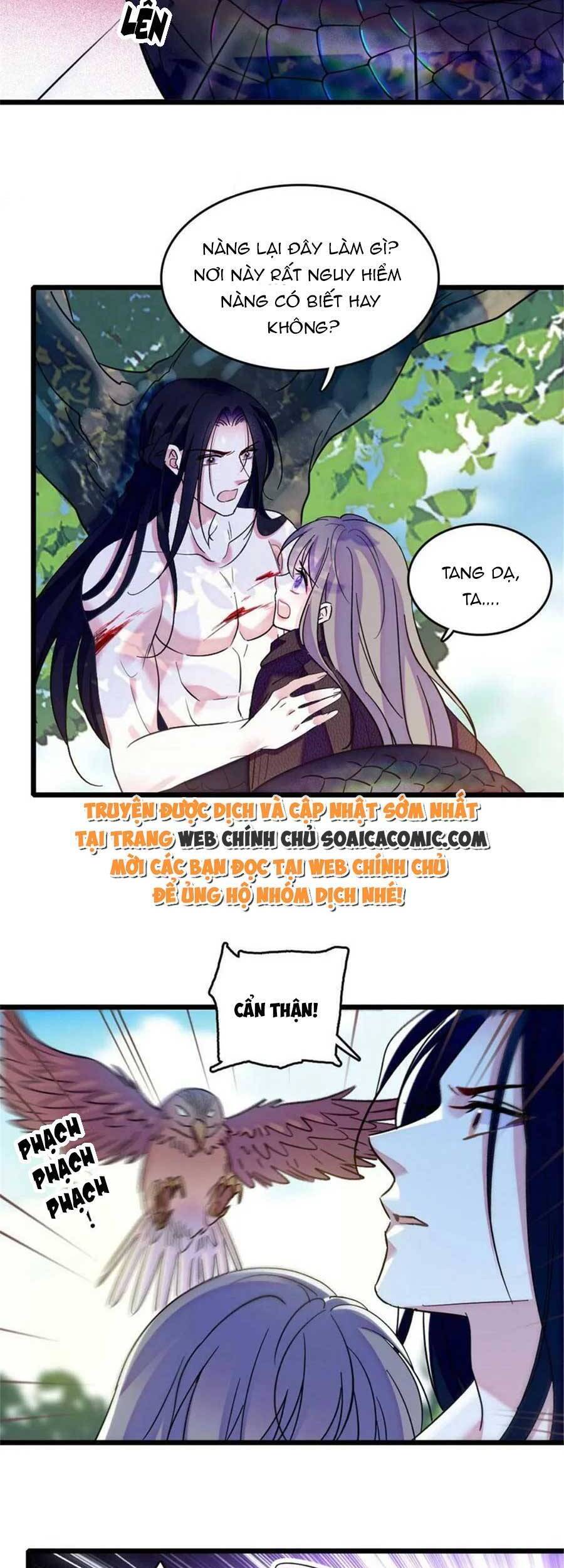Trang 8