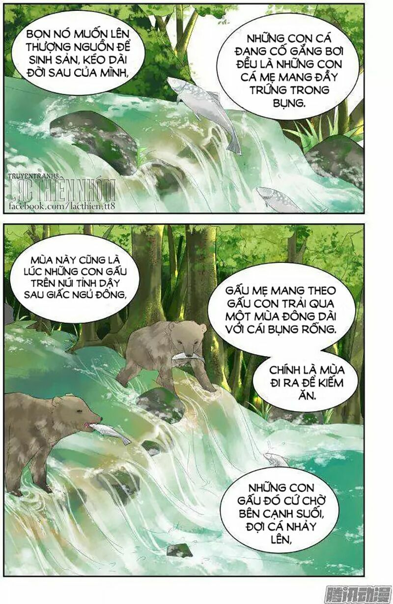 Chương 228 - trang 11