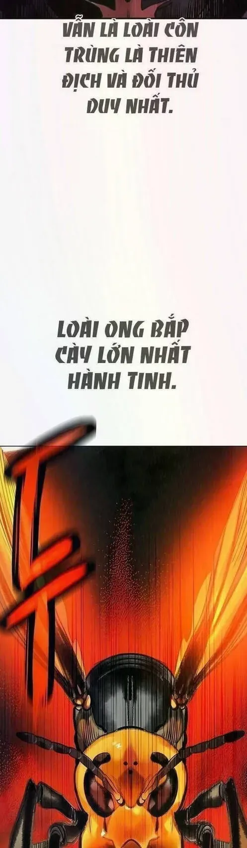 Chương 196 - trang 80