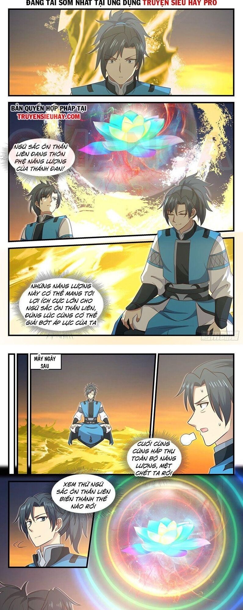 Trang 5