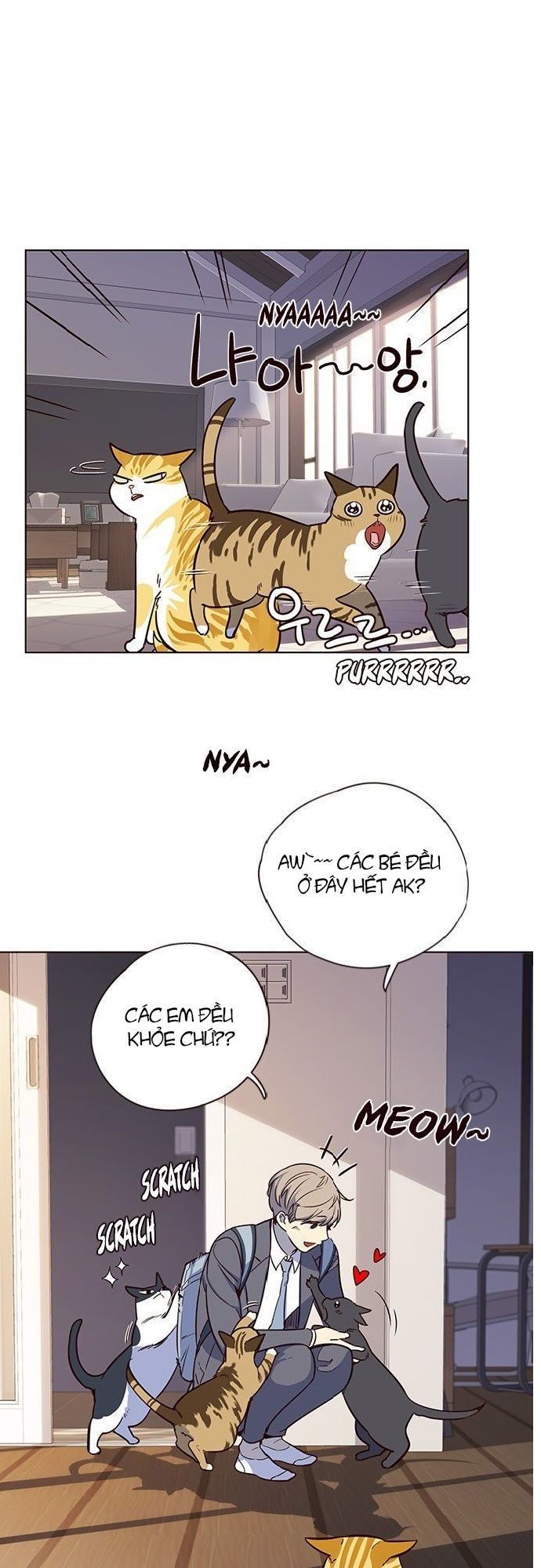 Trang 48