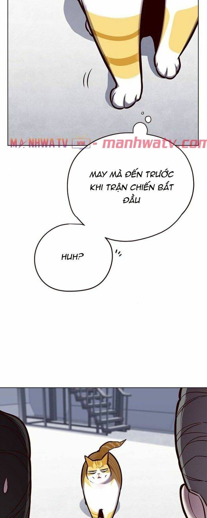 Trang 48