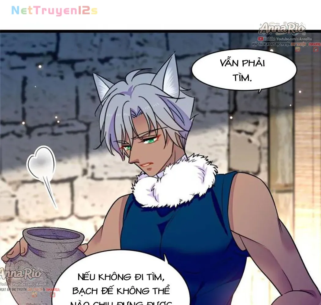 Chương 682 - trang 13