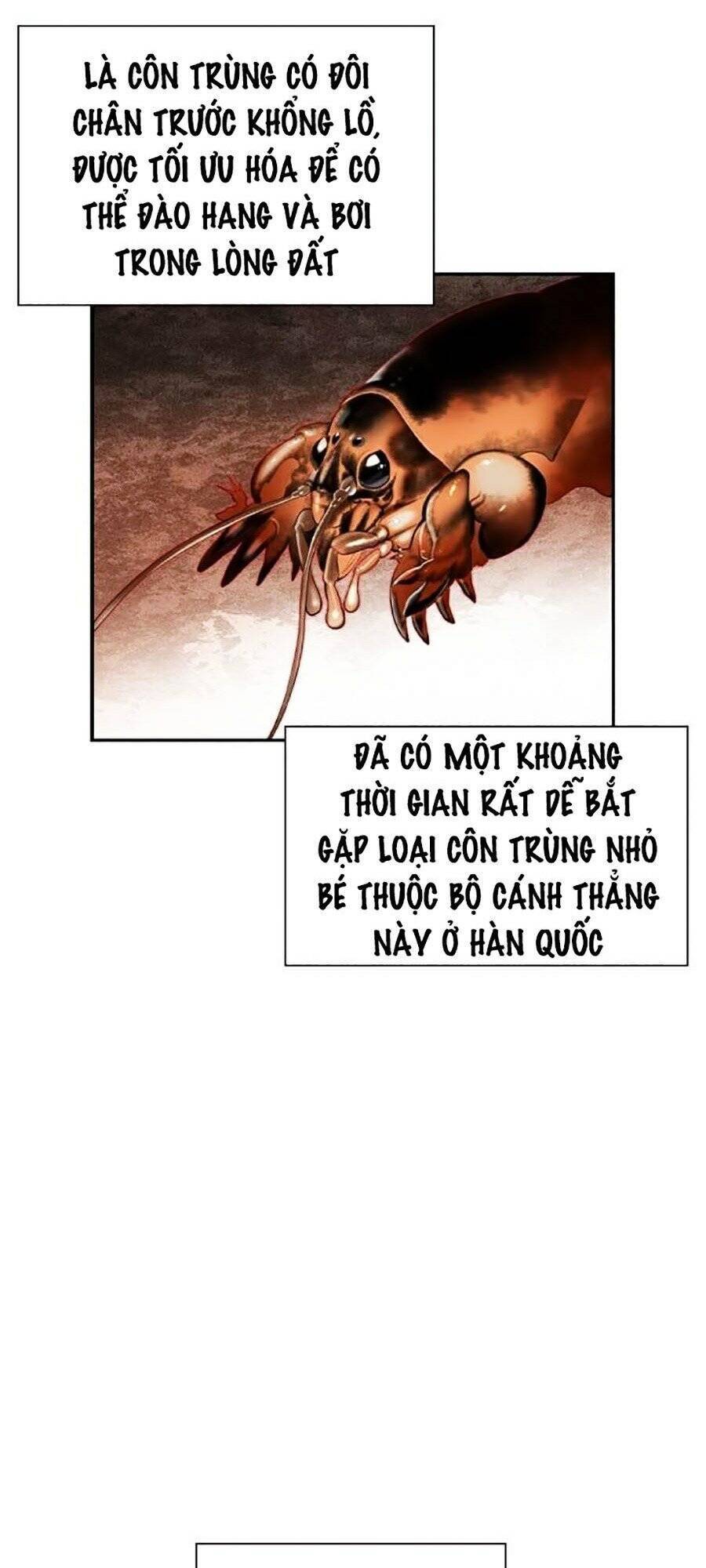 Trang 78