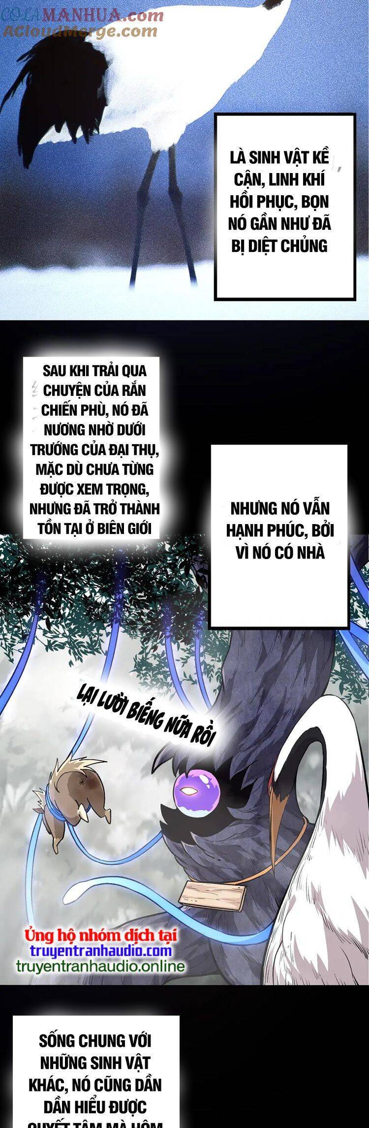 Trang 27