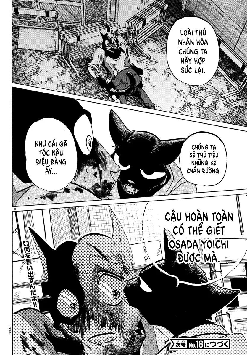 Trang 20