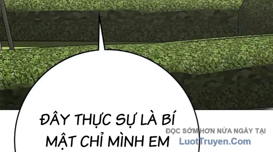Chương 176 - trang 196