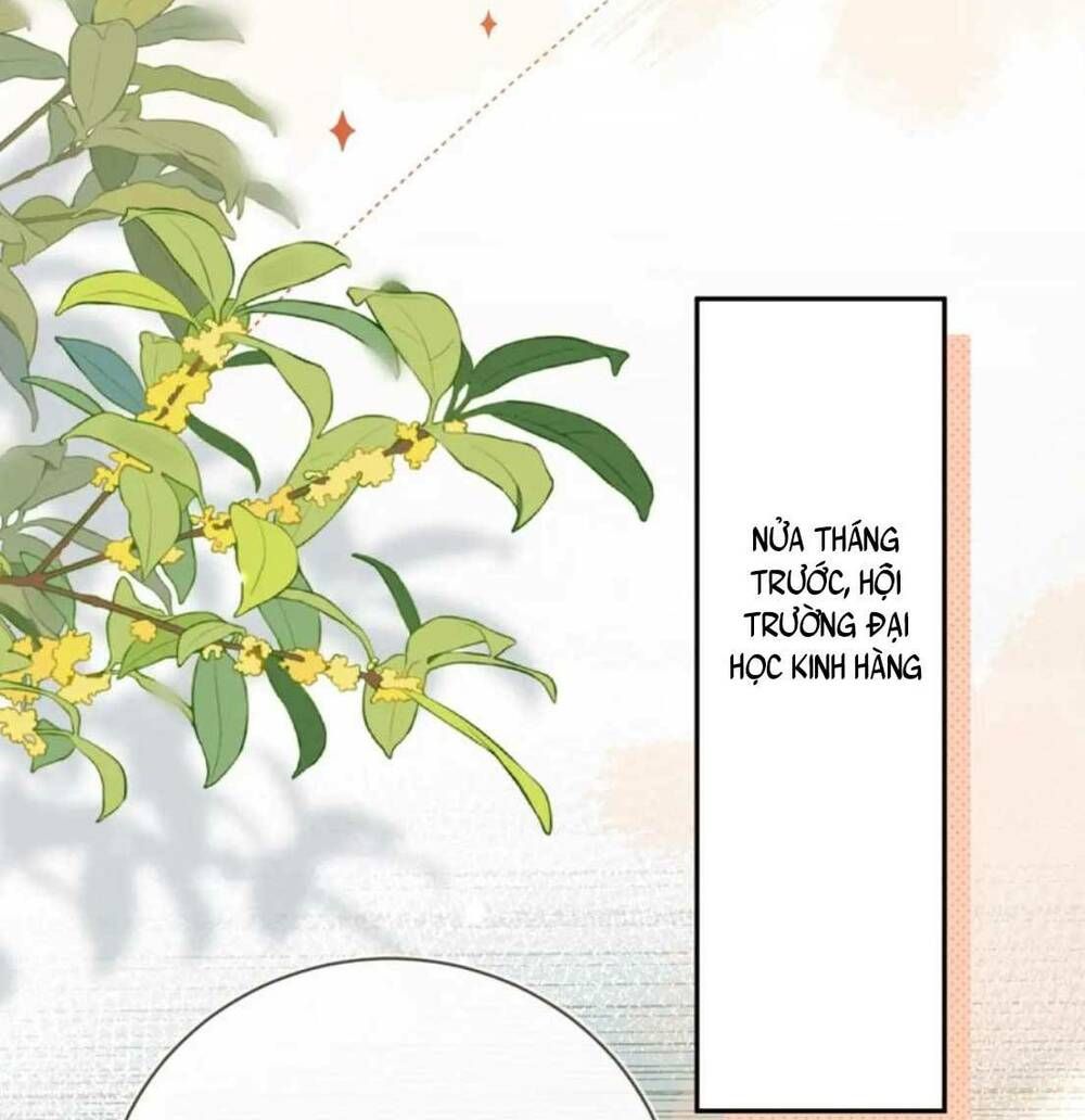 Chương 8 - trang 30