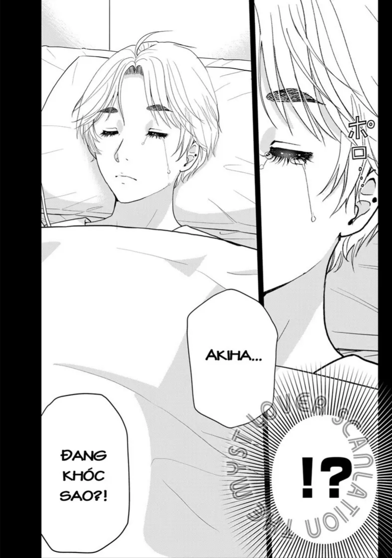 Trang 17