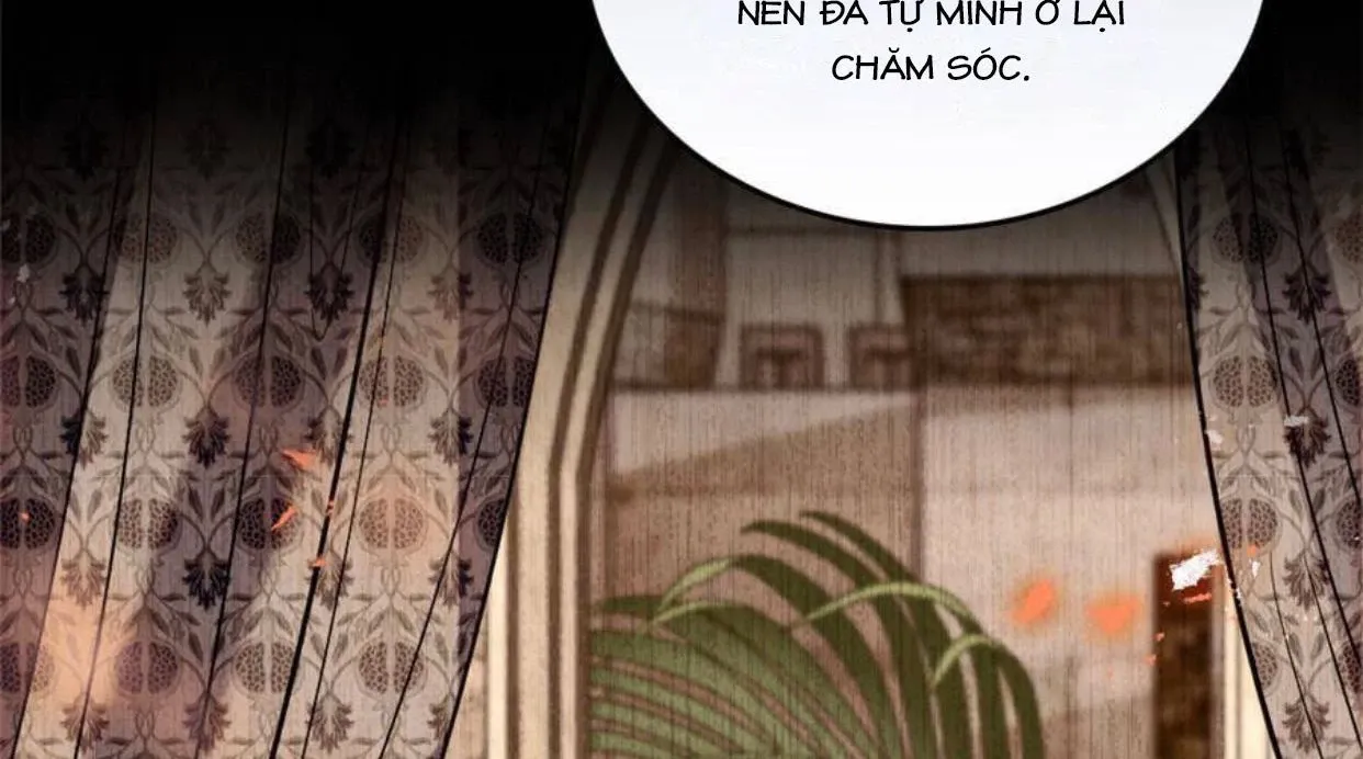 Chương 262 - trang 19