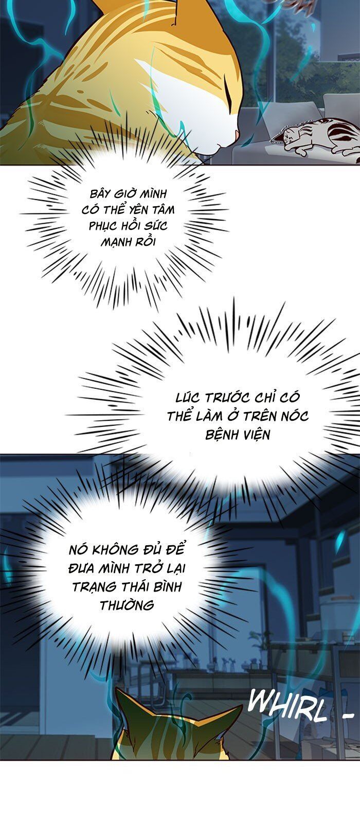 Trang 47