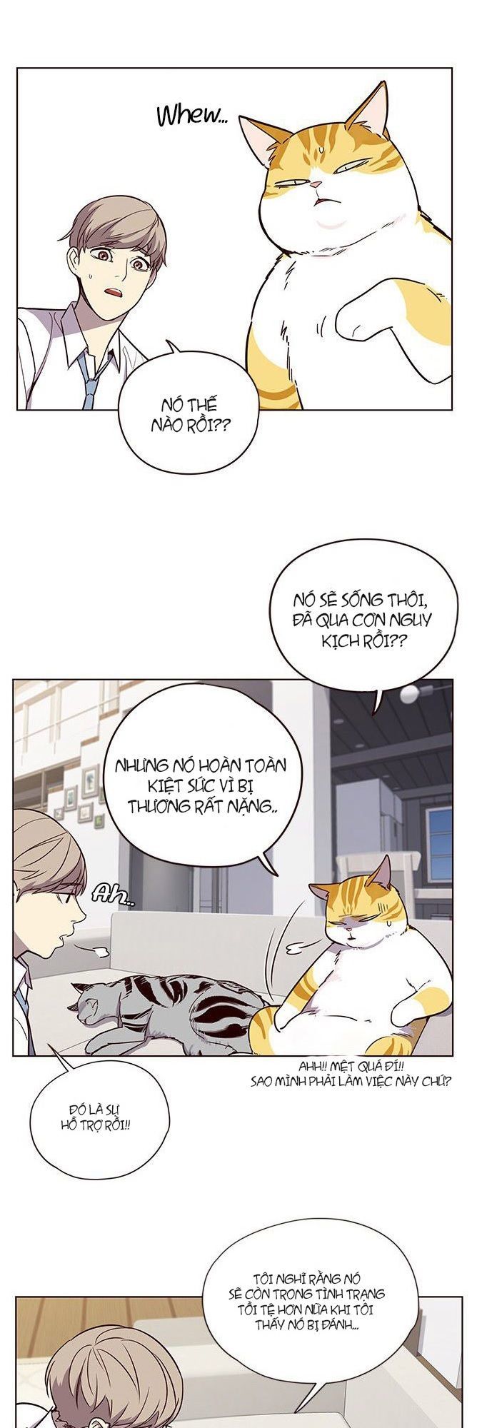 Trang 3