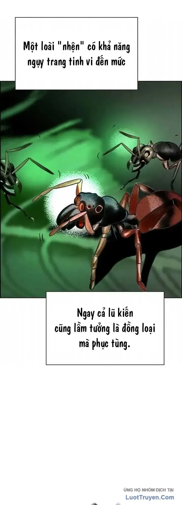 Chương 202 - trang 96