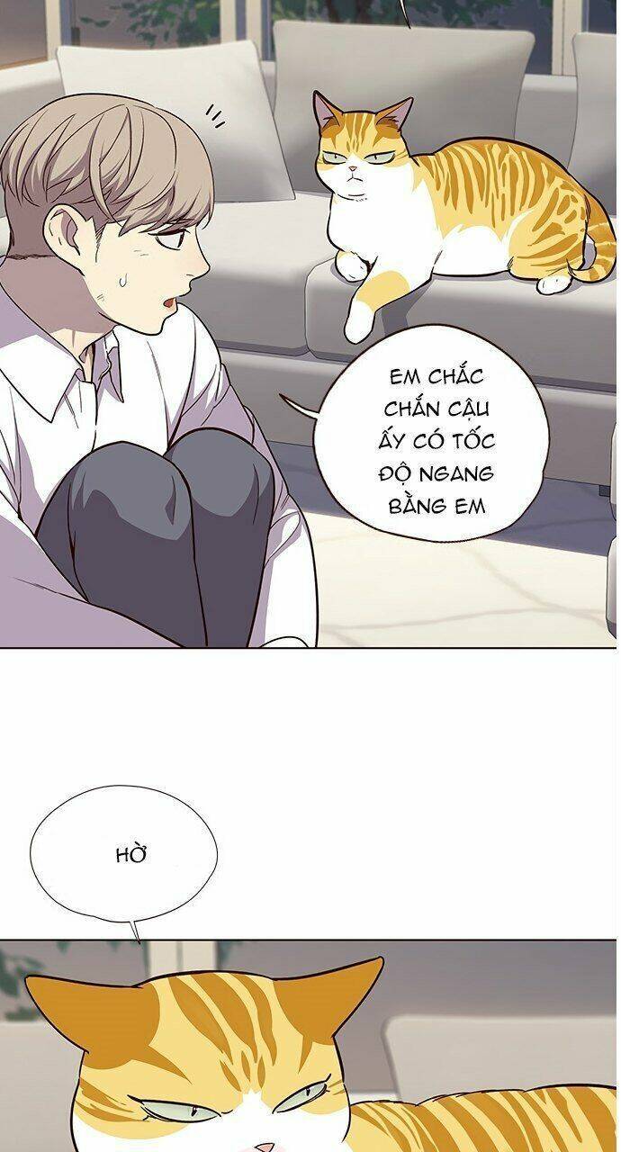 Trang 43