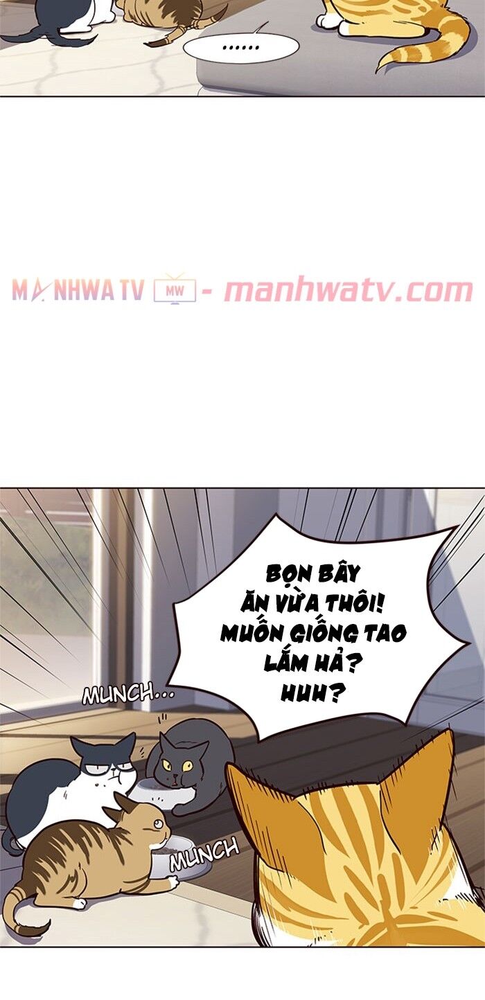 Chương 17 - trang 41
