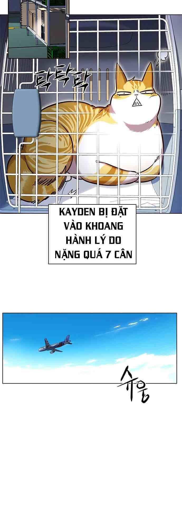 Chương 231 - trang 21