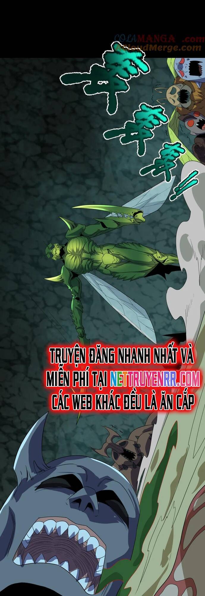 Trang 12