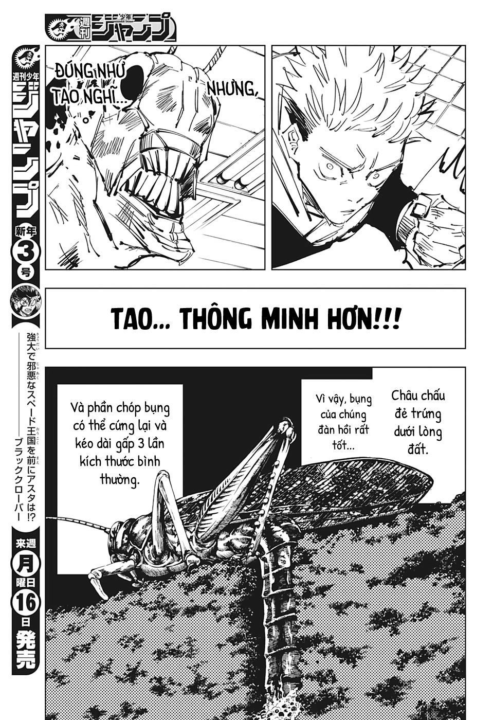 Trang 16