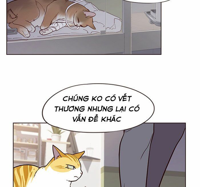 Chương 10 - trang 48