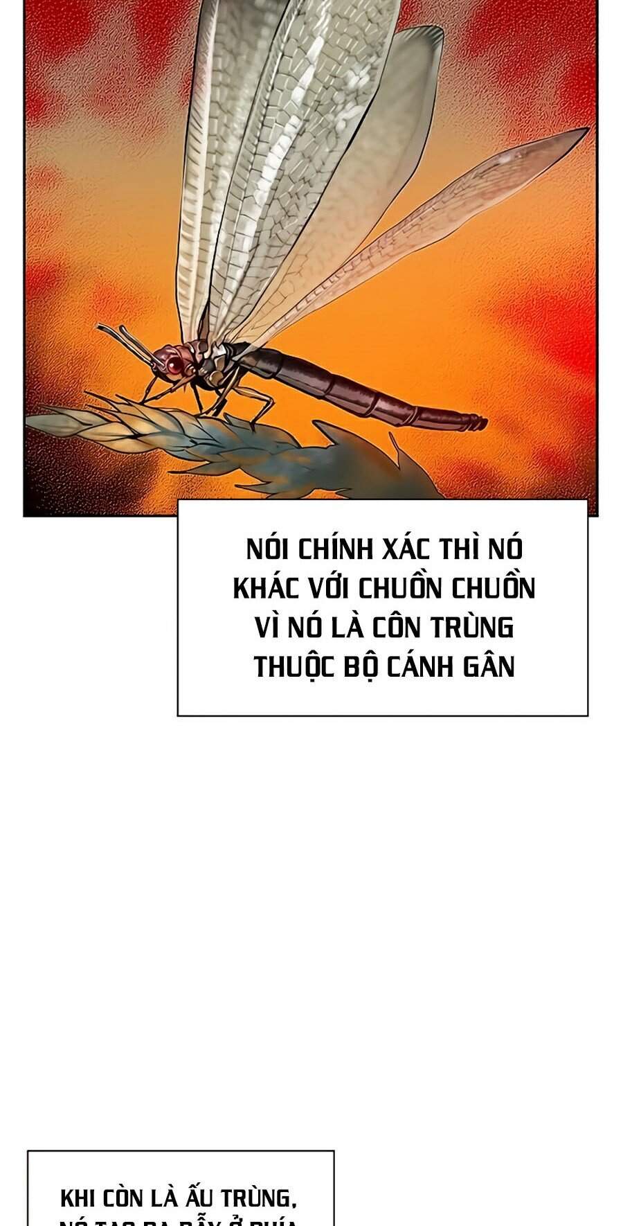Trang 77