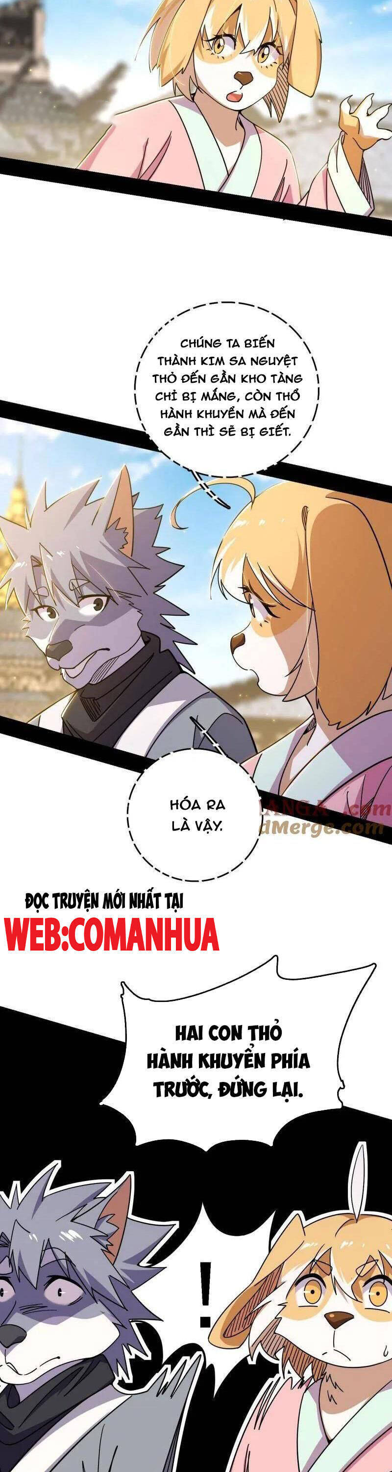 Trang 19