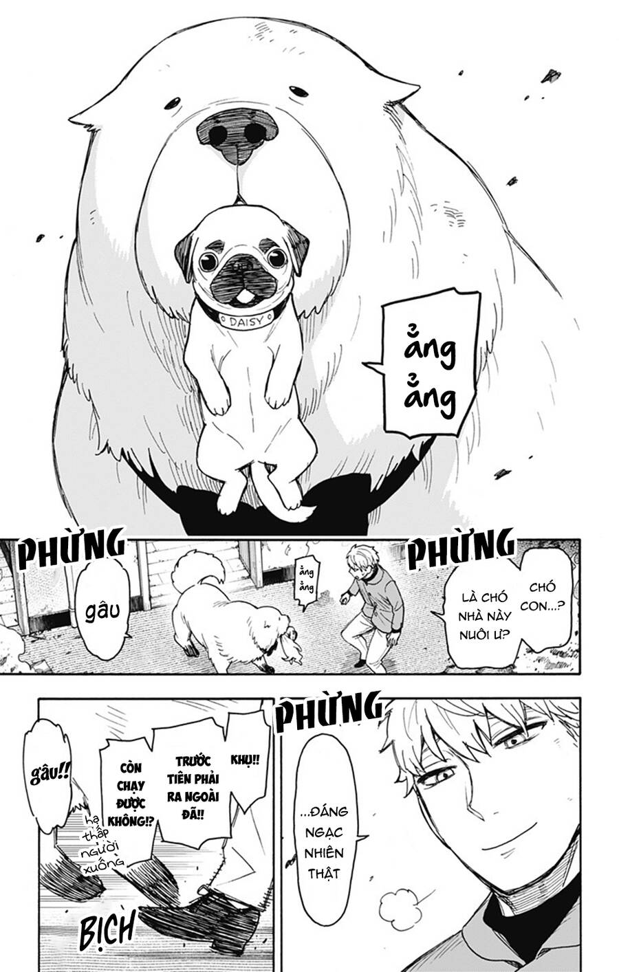 Trang 19