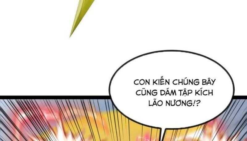 Trang 117