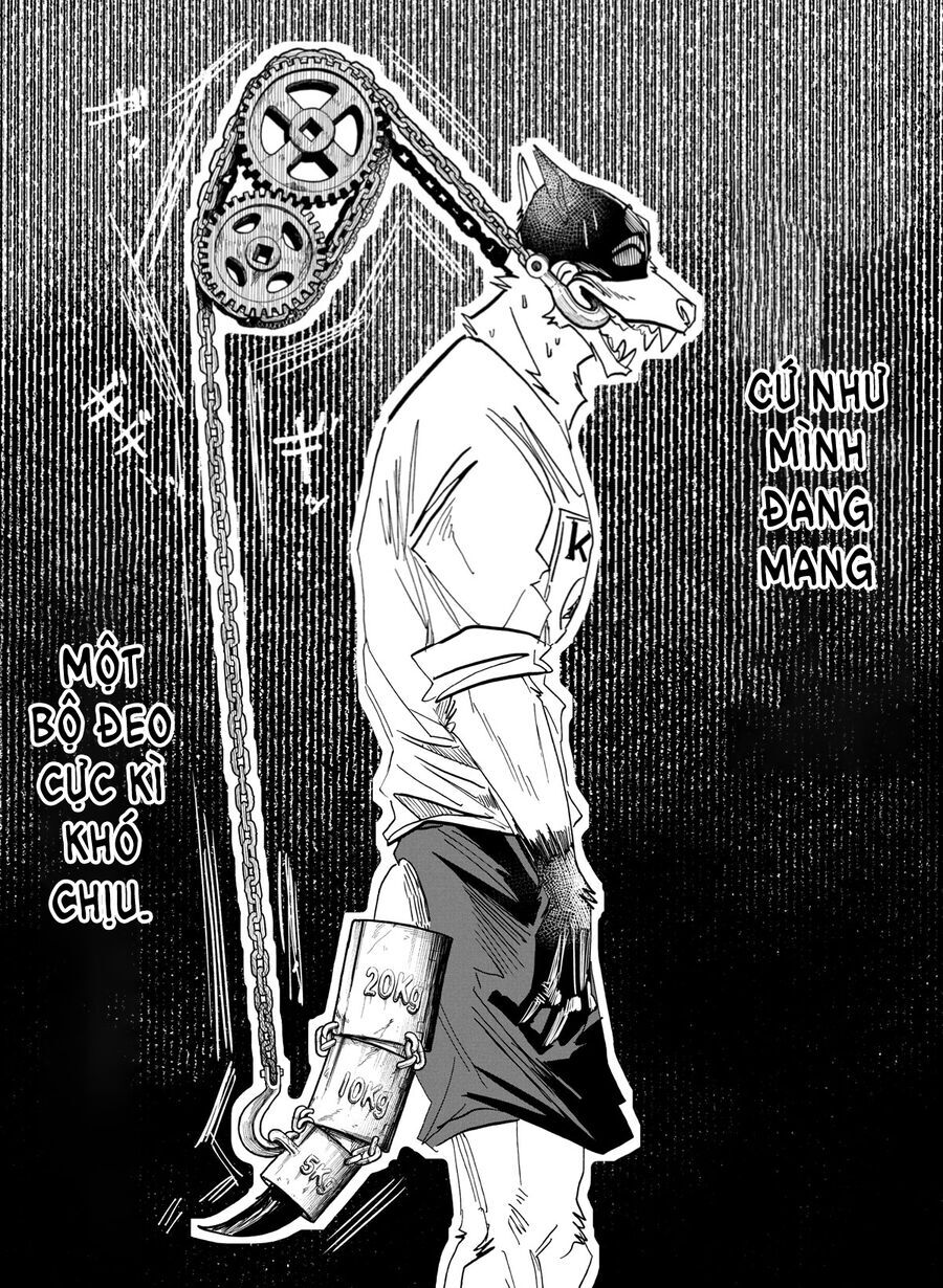 Trang 15