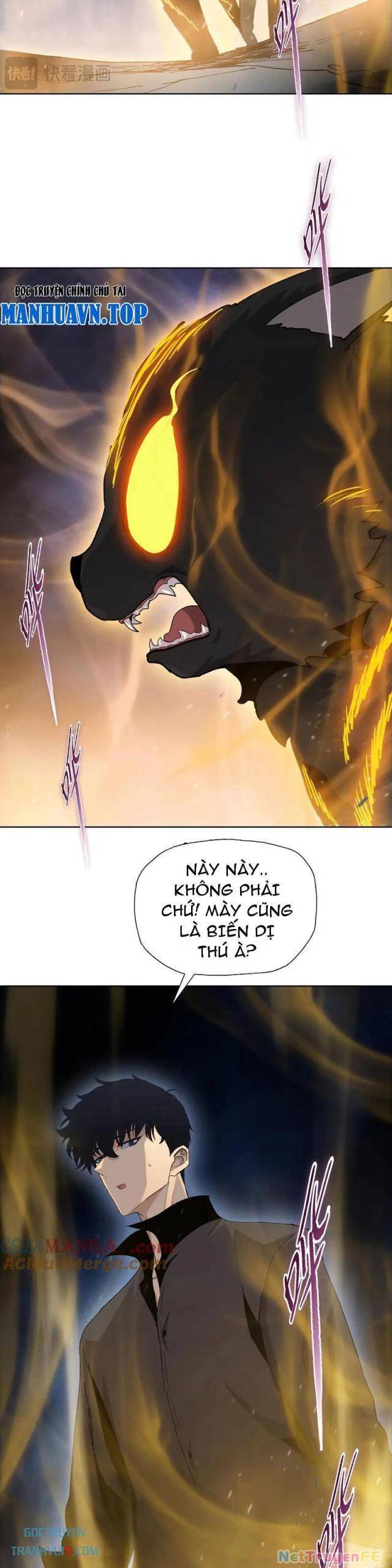 Trang 19