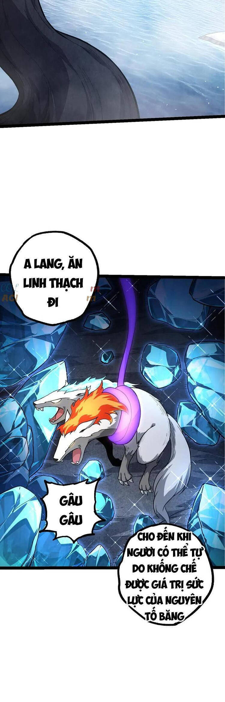 Trang 24